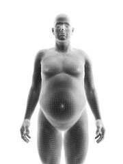 Fototapeta premium 3d rendered medically accurate illustration of an obese male