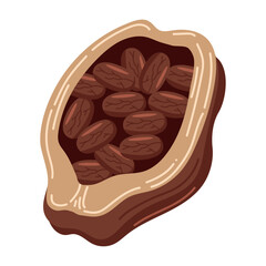 cacao fruit with seeds