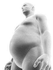 3d rendered medically accurate illustration of an obese male