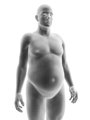 Fototapeta premium 3d rendered medically accurate illustration of an obese male