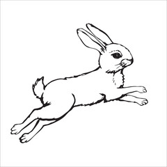 Black outline rabbit on white background. Vector illustration.