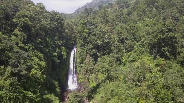 Aerial approaches lush green jungle waterfall in North Bali mountains