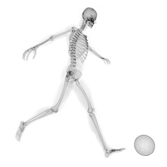 3d rendered medically accurate illustration of soccer x-ray