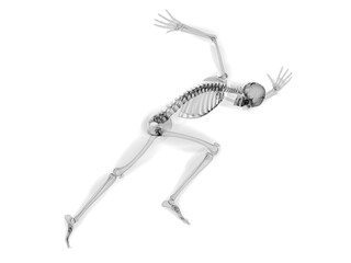 3d rendered medically accurate illustration of a sprinter x-ray