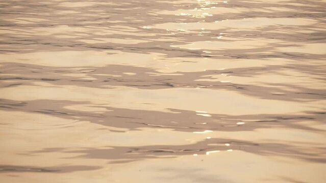 beautiful landscape of west lake at sunset in hangzhou