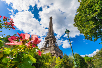 Eiffel Tower on sunny day with blooming flowers in Paris. France