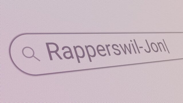 Search Bar Rapperswil Jona 
Close Up Single Line Typing Text Box Layout Web Database Browser Engine Concept