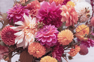 Kompozycja kwiatowa z kwiatów dalii, różowy bukiet kwiatów