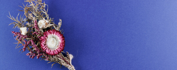 ドライフラワー