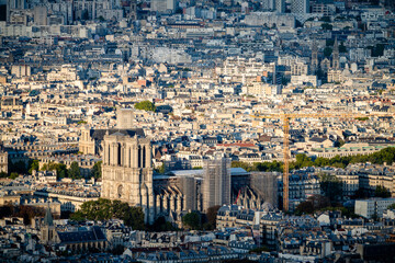 Obraz premium Notre Dame cathedral under repair construction in Paris. France