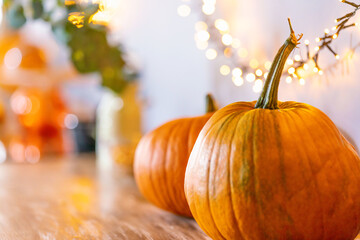 Two pumpkins, lying on a wooden table against a garland background. Blurred background. Autumn background of the Thanksgiving greeting card. Space for copying.