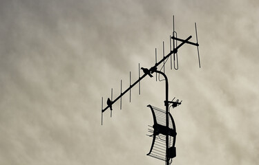 TV antenna on background of sky and pigeons - obrazy, fototapety, plakaty