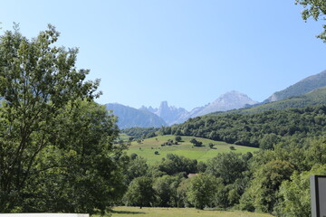 Naranjo de Bulnes