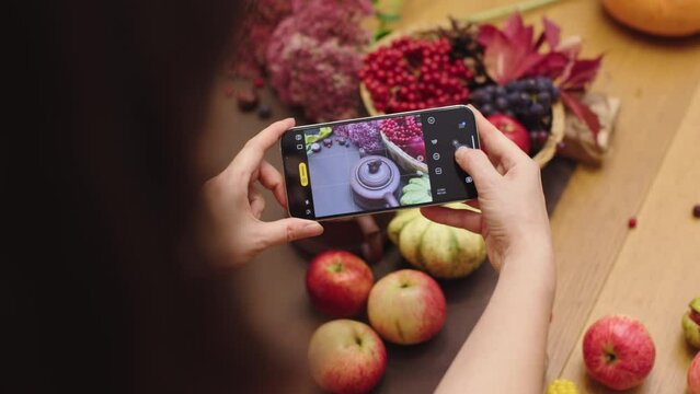 female hands taking picture autumn flat lay red apples berries flowers harvest background decor. blogger making fall content social media internet web site design. mobile photos october november