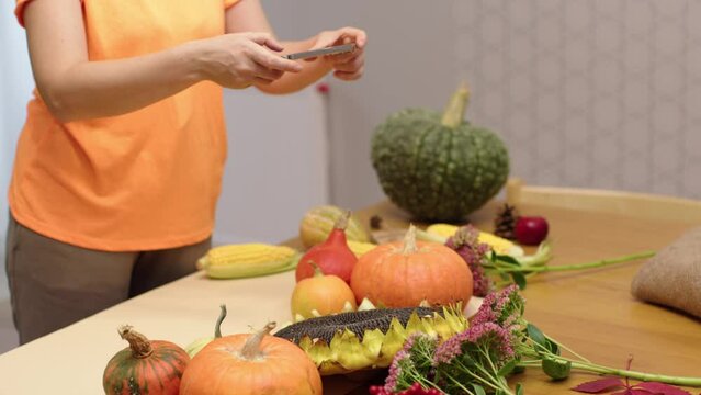 female hands taking picture smartphone autumn vegetables on table thanksgiving holiday halloween harvest fall autumn concept blogger woman preparation webinar class decorations happy Thanksgiving Day 