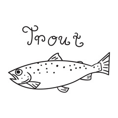 Seafood. Trout. Hand drawn outline illustration on white background.