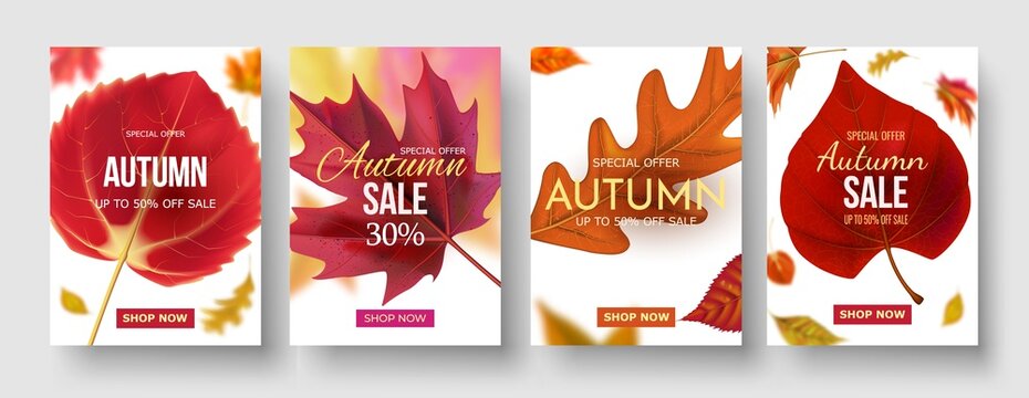 Colorful autumn poster set. Fall sale background with bright maple leaves, light effect, season type lettering discount text sign 50 percent, 30 Off everything. illustration