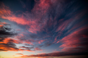 20221002_MG_0313