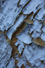 Old wooden door damaged from time close up background high quality big size print