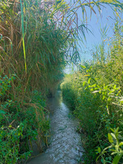 rocks in creek or stream flowing water, Down Stream, Dingman's Creek at George W. Childs State Forest Park in Dingman's Ferry, PA on a sunny summer day