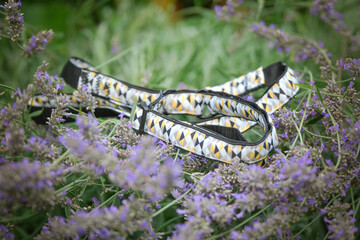 beautiful stylish leash for each dog. Everyone looks great with it!