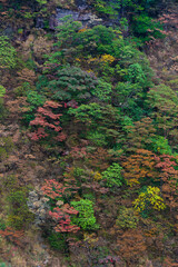 The early autumn scenery of Wugong Mountain Natural Scenic Area, Pingxiang, Jiangxi, China