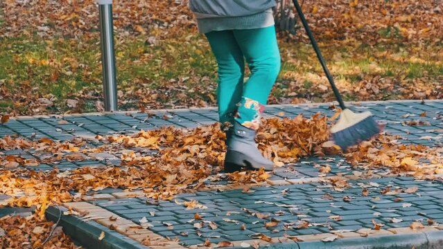 Janitor sweeps fallen yellow leaves in the city park. Utility worker collects foliage. Human with broom sweeps leaves on paving stones in autumn public park. Autumn cleaning territory in sunny weather