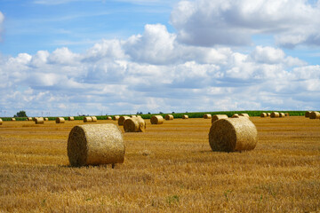Fototapeta premium Fields near Bad Wünnenberg. Landscape with a wide view and round bales of straw after the harvest. Nature in autumn. 