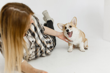woman pet corgi dog plays teaches commands