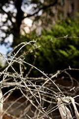  the Russian shelling of the city 