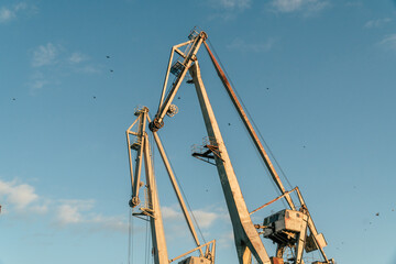 dismantling an old port crane 
