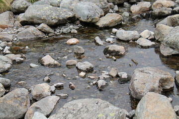 The Clear Water of a Small Rocky Mountain Stream.