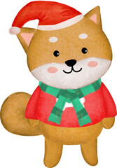 Cute hand drawn Shiba Inu dog, Akita Inu dog in red Santa's hat illustration, wearing, green scarf, red sweater