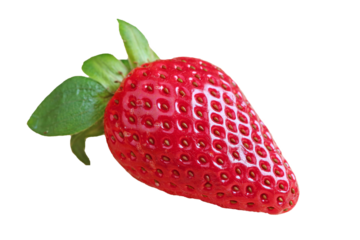 A Vibrant Red Fresh Strawberry on Transparent Background, PNG File