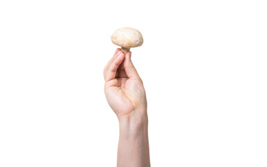 Fototapeta na wymiar ripe mushroom vegetable in hand isolated on white background