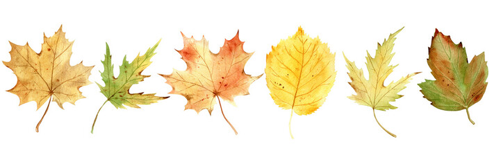 Watercolor autumn set