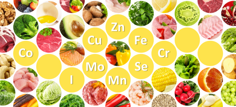 Essential trace elements of the human body include zinc (Zn), copper (Cu), selenium (Se), chromium (Cr), cobalt (Co), iodine (I), manganese (Mn), and molybdenum (Mo).isolated - Panorama - Powered by Adobe