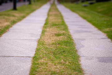 Obraz premium Blurred background image behind couple concrete walkway on lawn
