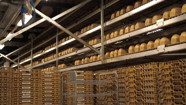 Baked breads on multi layer conveyors in a bakery factory with bread racks in the foreground