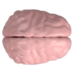 3d rendering illustration of a stylized human brain
