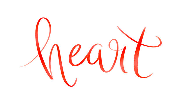 HEART red brush lettering on transparent background