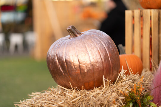 Pumpkin Painted With Gold Paint On A Wooden Plank Box For Storing The Harvest