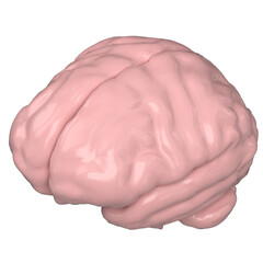 3d rendering illustration of a stylized human brain