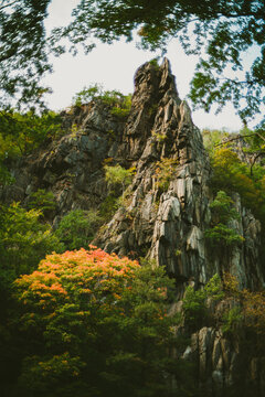 Berg im Herbst am Bodekessel Harz