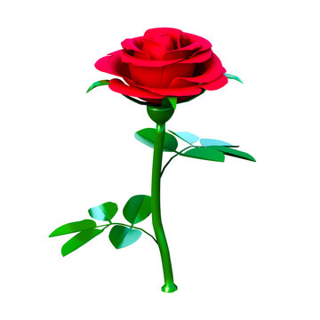 red rose isolated 3d illustration