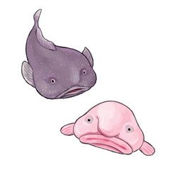 ブロブフィッシュ