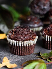 chocolate chip muffin