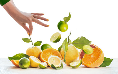 Women hand and group of various citrus fruits, isolated. Oranges, grapefruits, lime and lemon with green leaves. Slices, halves and quarters of fruit. Healthy lifestyle