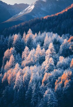 Hyper-realistic Illustration Of A Forest Covered In Snow With High Mountains In The Background