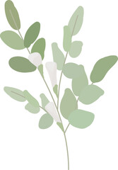 white camellia flower and green leaves branch flat style
